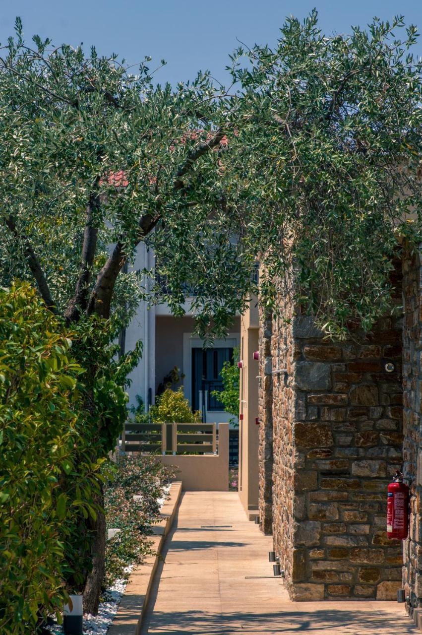 Hotel Astir Notos